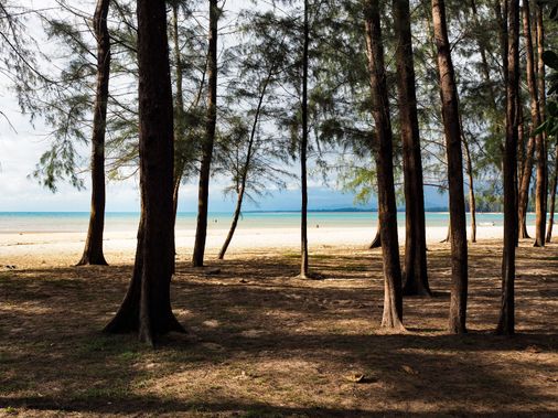 Naiyang Park Resort - Phuket - Strand