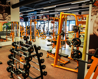 Lifestyle Hotel Leithana - Bruck an der Leitha - Gym