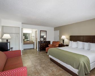 Days Inn by Wyndham St. Petersburg / Tampa Bay Area - Saint Petersburg - Bedroom