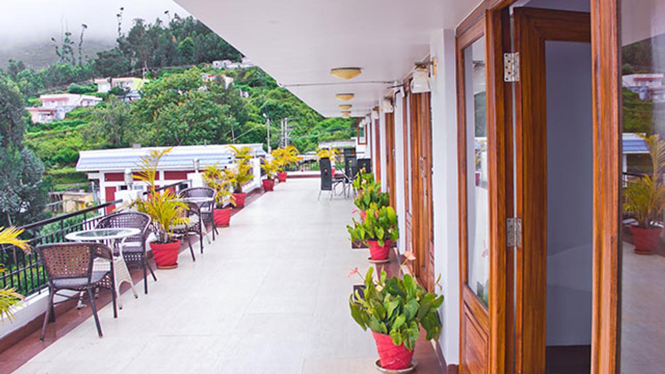 ماونتن إن ميست أوتي