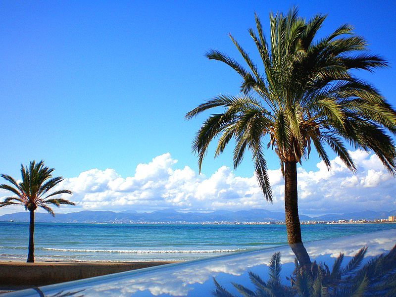 Hotel Palma Mazas - El Arenal (Mallorca) - Playa