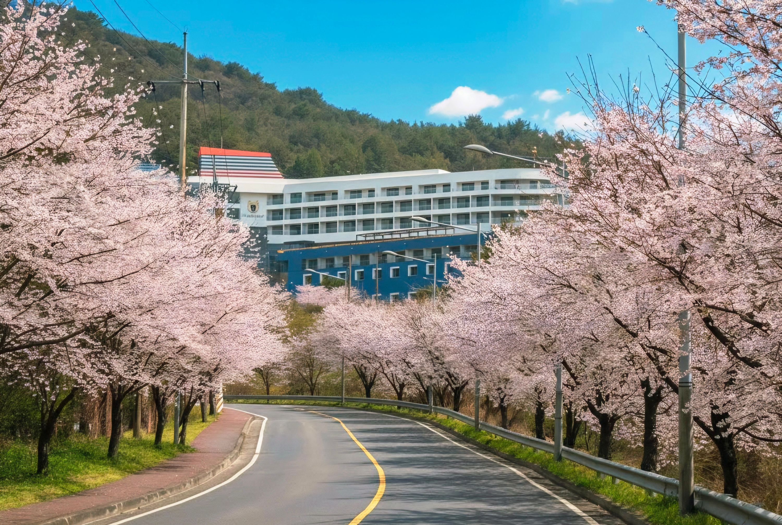 Tongyeong Dongwon Resort & Youth Hostel - Tongyeong - Vista del exterior