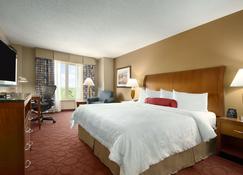 Hilton Garden Inn Chicago O'Hare Airport - Des Plaines - Bedroom