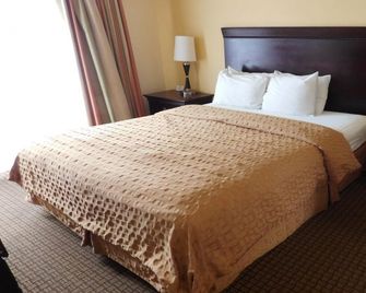Stargazer Inn and Suites - Monterey - Soveværelse