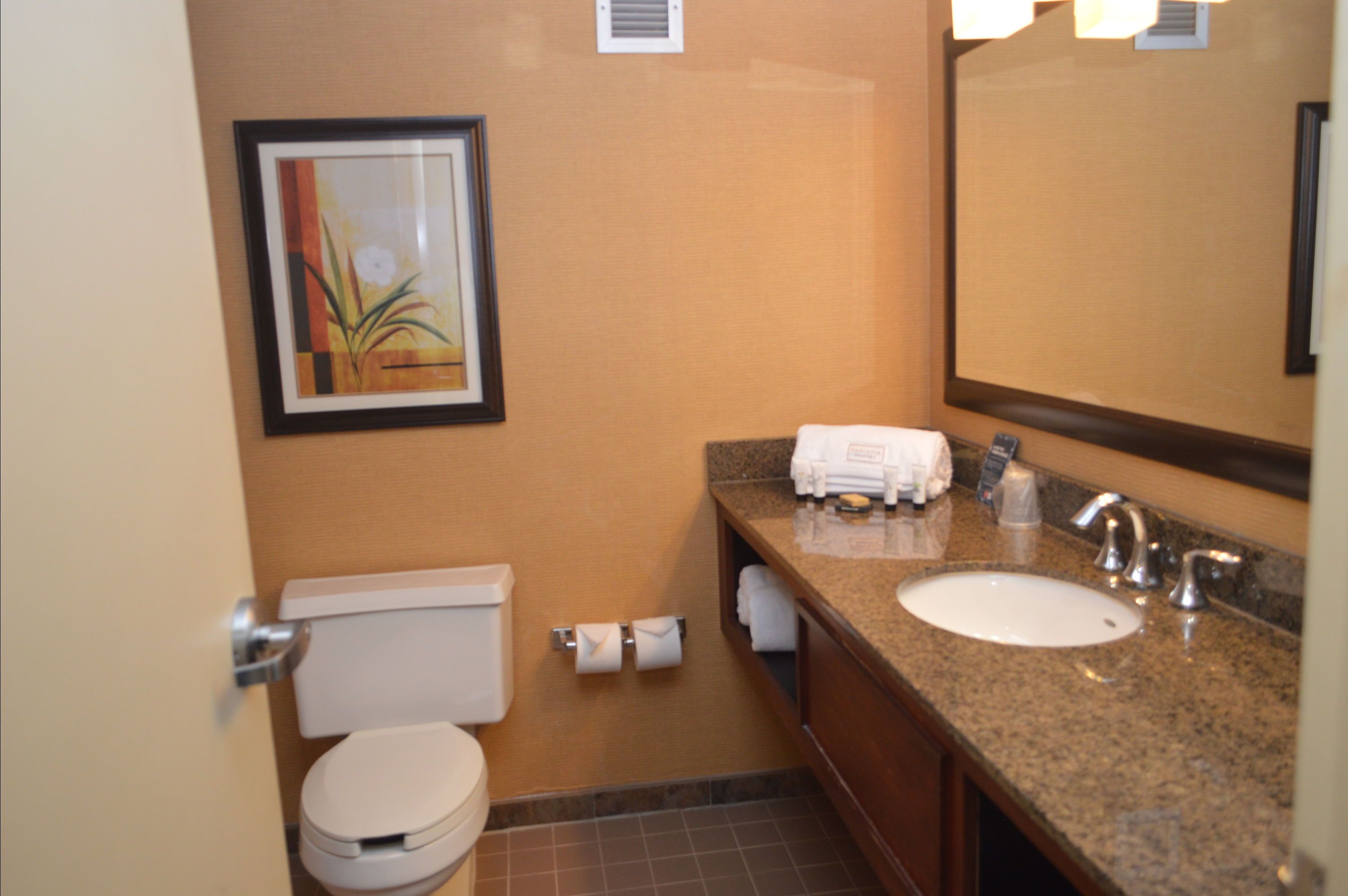 Bathroom view of Red Lion Hotel North Baltimore