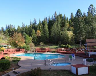 Amador Hotel - Pioneer - Piscina