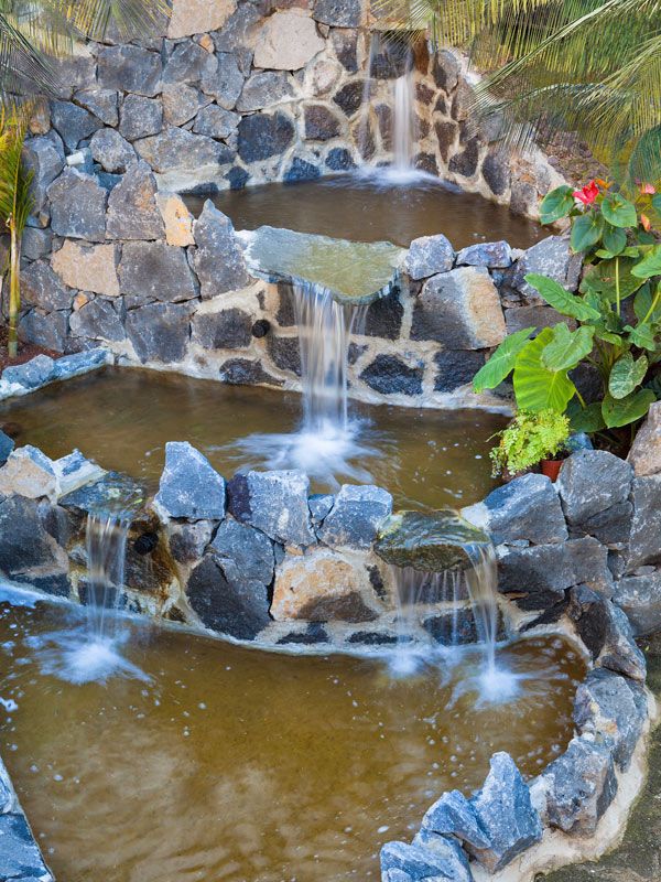 بانوراميكا جاردن