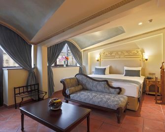 Sultanahmet Palace Hotel - Istanbul - Makuuhuone
