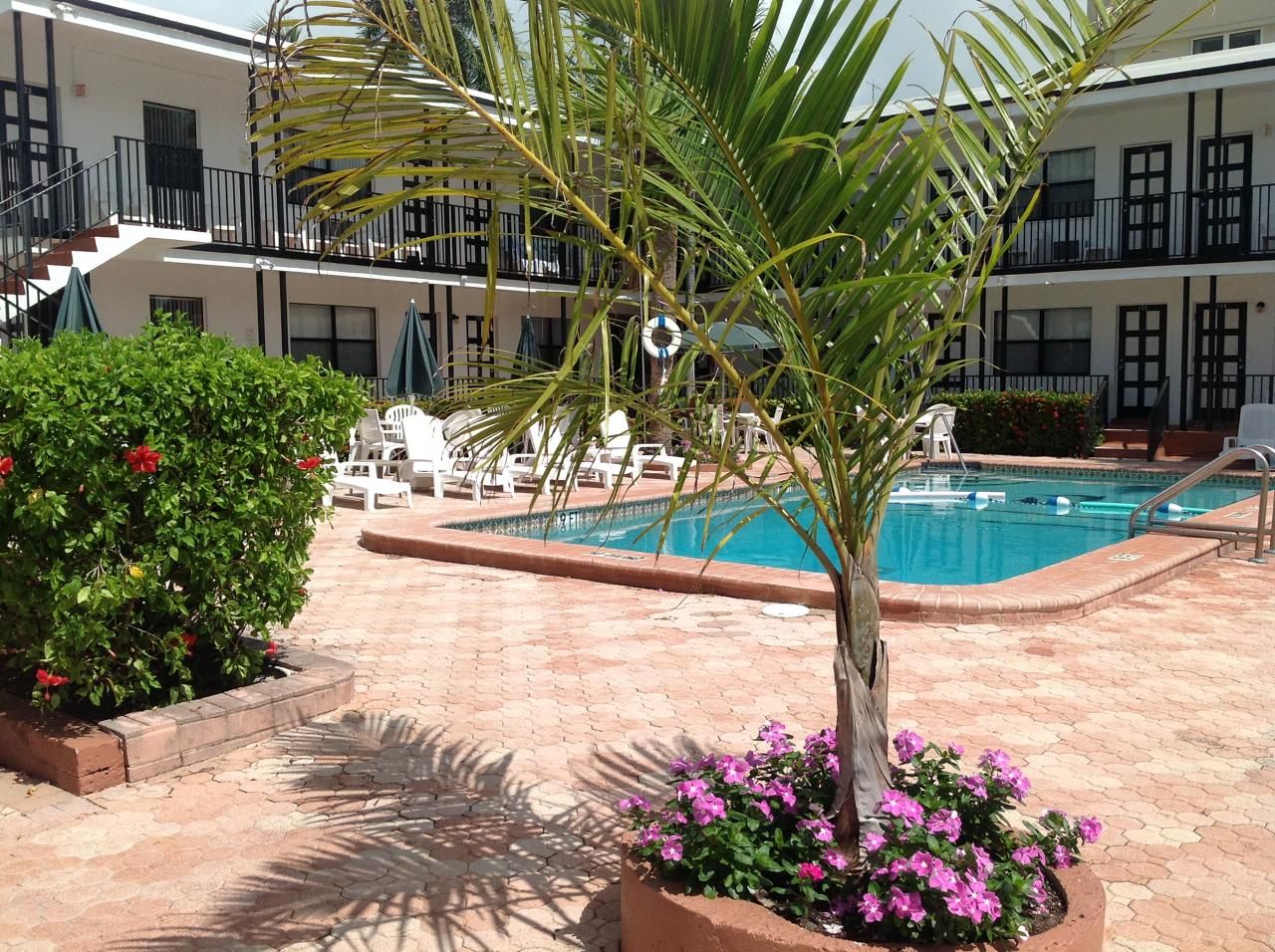 Napoli Belmar Resort - فورت لاودردال - المظهر الخارجي