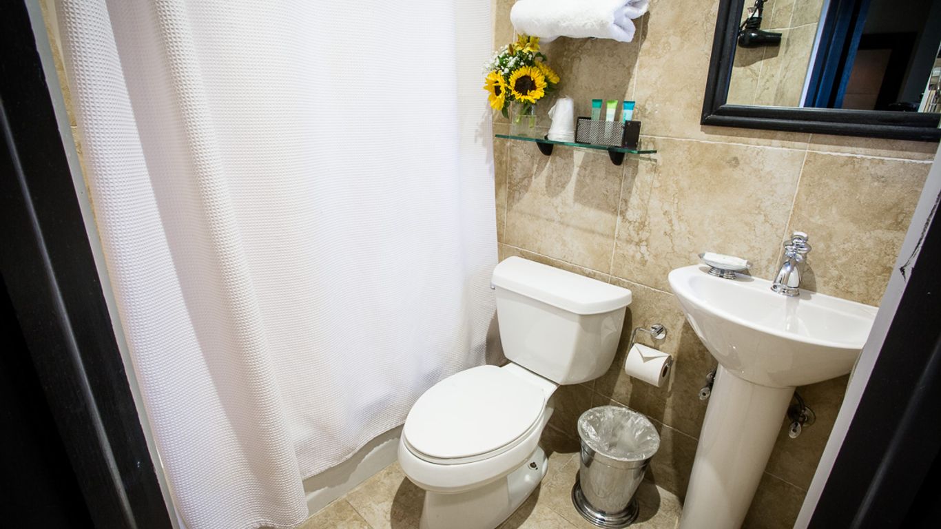 ذا مانزفيلد هوتل