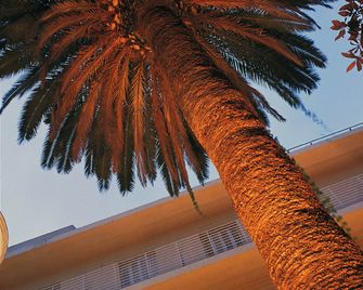 Hotel la Palmera & Spa - Lloret de Mar - Vista esterna