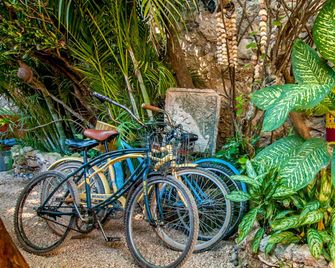 Chill Inn Hostel - Tulum - Servicio de la propiedad