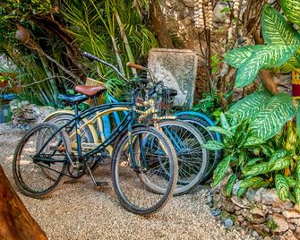 Chill Inn Hostel - טולום - שירותי מקום האירוח