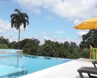 Finca Hotel Villa Celeste - Quimbaya - Piscina