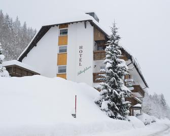 Hotel Silberfelsen - Menzenschwand - Edifício