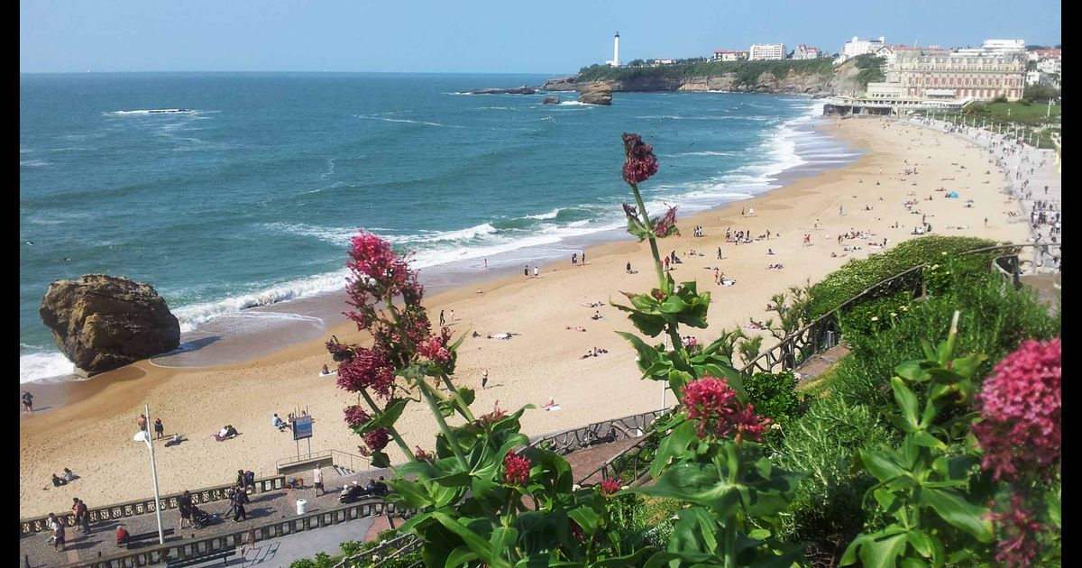 BIARRITZ / FLORIDA BLUE BORDER