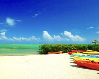 Anglers Reef Paradise - Islamorada - Strand