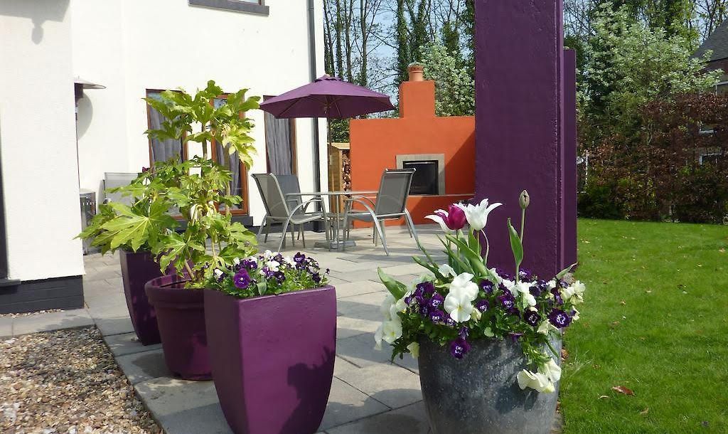 Rectory Cottage - מנצ'סטר - פטיו