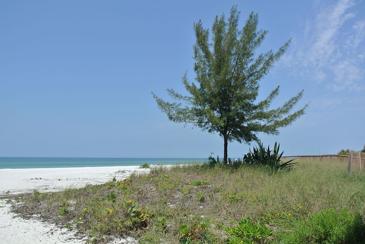 Anna Maria Island Dream Inn