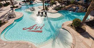 Avi Resort & Casino - Laughlin - Pool
