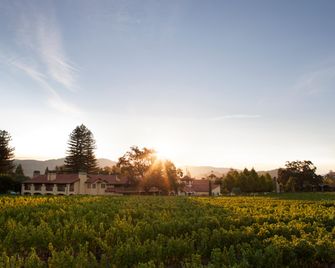 Napa Valley Lodge - Yountville - Vista esterna