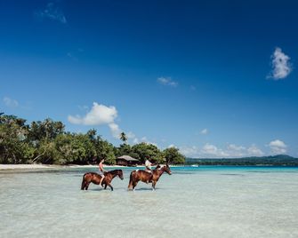 Ratua Private Island Resort - Port Lautour - Beach