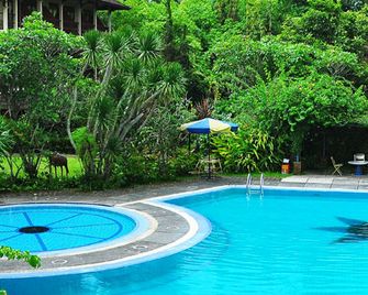 Taman Sari Hotel Dan Resort - Sukabumi - Piscina