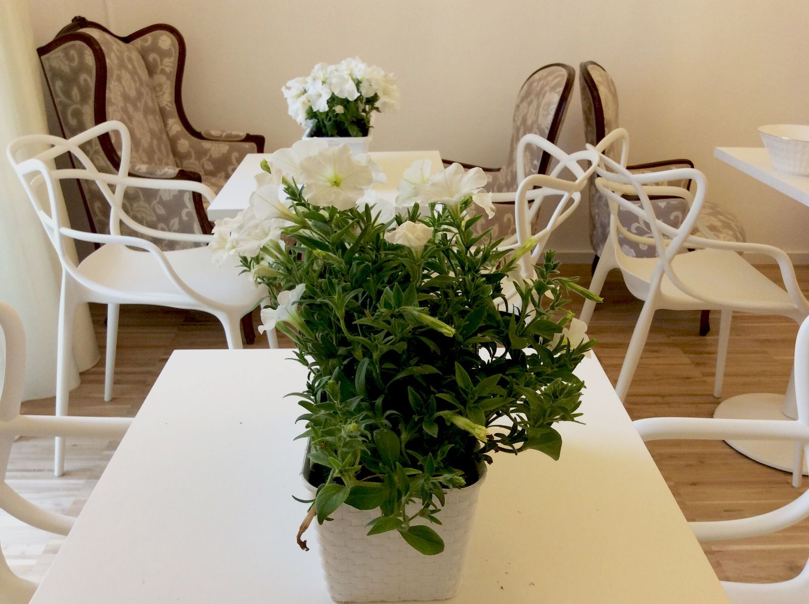 Maison Fleurie - Pescara - Dining room