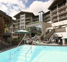 The Alpine Palace