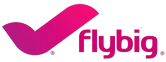 Het logo van flybig