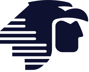 AeroMexico Connect