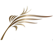 SaudiGulf Airlines