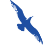 Cape Air logo