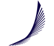 Blue Panorama Airlines