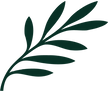 Cyprus Airways logo