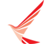 Ruili Airlines logo