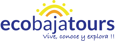 Eco Baja Tours