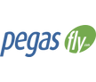 Pegas Fly