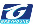 Greyhound South Africa
