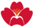 Qingdao Airlines logo