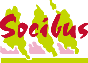 Socibus