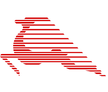 Tunisair Express logo