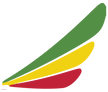 Ethiopian Mozambique Airlines