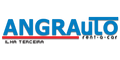 angrauto