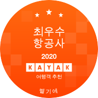 최우수 항공사